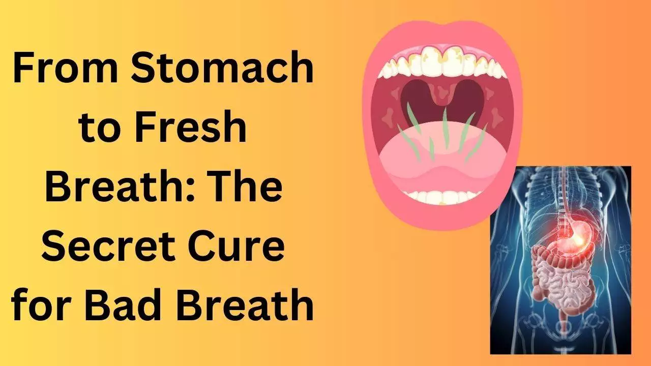 Fresh Breath